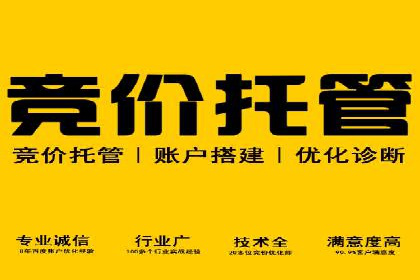 案例解析：SEM竞价优化策略提升广告效果